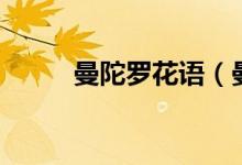 曼陀罗花语（曼陀罗花语是什么）