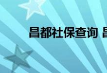 昌都社保查询 昌都个人社保卡查询