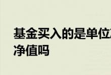 基金买入的是单位净值吗 基金买入的是单位净值吗