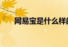 网易宝是什么样的东西 网易宝是什么