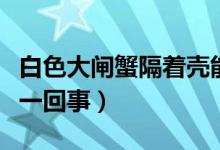 白色大闸蟹隔着壳能看到蟹黄（这究竟是怎么一回事）