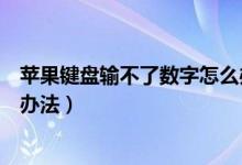 苹果键盘输不了数字怎么办（苹果电脑键盘打不出数字解决办法）