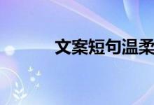 文案短句温柔（文案温柔治愈）