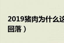 2019猪肉为什么这么贵（猪肉价格什么时候回落）