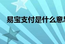 易宝支付是什么意思 易宝支付是什么意思