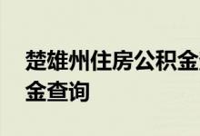 楚雄州住房公积金查询 楚雄州个人住房公积金查询