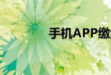 手机APP缴纳社保注意事项