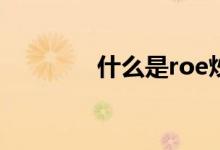 什么是roe炒股 什么是ROE