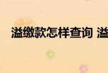 溢缴款怎样查询 溢缴款可以还下期账单吗