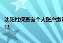 沈阳社保查询个人账户缴费明细怎么查 沈阳社保能转到外地吗 