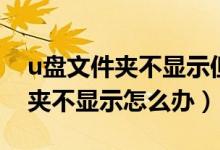 u盘文件夹不显示但是已占用内存（u盘文件夹不显示怎么办）