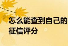 怎么能查到自己的征信出问题 怎么看自己的征信评分