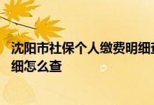 沈阳市社保个人缴费明细查询 沈阳社保查询个人账户缴费明细怎么查 
