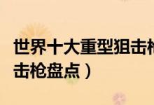 世界十大重型狙击枪排名（全球威力最大的狙击枪盘点）