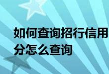 如何查询招行信用卡积分 请问招行信用卡积分怎么查询