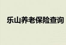 乐山养老保险查询 乐山个人养老保险查询