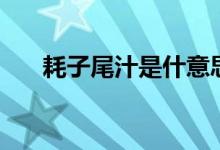耗子尾汁是什意思（耗子尾汁啥意思）