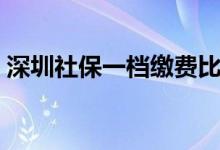 深圳社保一档缴费比例是多少 缴费标准一览 