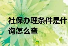 社保办理条件是什么 12333社保个人账户查询怎么查 