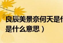 良辰美景奈何天是什么意思（良辰美景奈何天是什么意思）
