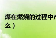 煤在燃烧的过程中产生什么（煤燃烧能产生什么）
