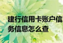 建行信用卡账户信息怎么查 建行信用卡的账务信息怎么查
