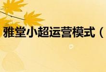 雅堂小超运营模式（开雅堂小超靠什么盈利）