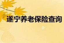 遂宁养老保险查询 遂宁个人养老保险查询