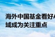 海外中国基金看好A股市场大消费、互联网领域成为关注重点