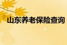 山东养老保险查询 山东个人养老保险查询