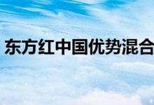 东方红中国优势混合（001112）持有人结构