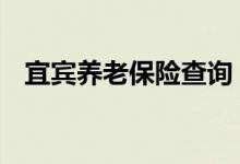 宜宾养老保险查询 宜宾个人养老保险查询