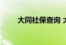 大同社保查询 大同个人社保卡查询