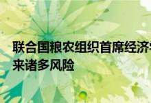 联合国粮农组织首席经济学家：俄乌冲突给农业粮食体系带来诸多风险