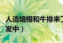 人造培根和牛排来了（人造培根牛排正努力研发中）