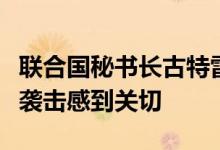 联合国秘书长古特雷斯对大马士革国际机场遭袭击感到关切