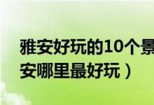 雅安好玩的10个景点（雅安最好玩的地方雅安哪里最好玩）