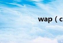 wap（cib com cn）