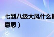 七到八级大风什么概念（七到八级大风是什么意思）