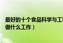 最好的十个食品科学与工程就业方向（食品科学与工程可以做什么工作）