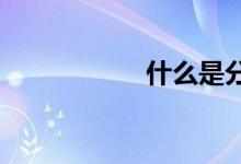 什么是分红终身寿险