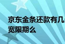 京东金条还款有几天宽限期 京东金条有还款宽限期么