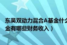 东吴双动力混合A基金什么时候能赎回（2021年第二季度基金有哪些财务收入）