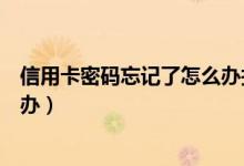 信用卡密码忘记了怎么办找回密码（信用卡密码忘记了怎么办）