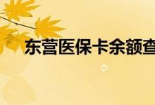 东营医保卡余额查询 东营医疗保险查询