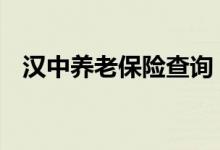 汉中养老保险查询 汉中个人养老保险查询