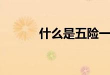 什么是五险一金 一个月多少钱 