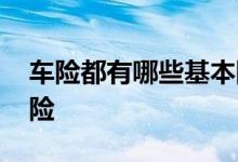 车险都有哪些基本险 车险一般都买什么基本险