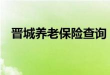 晋城养老保险查询 晋城个人养老保险查询