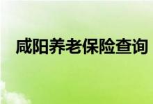 咸阳养老保险查询 咸阳个人养老保险查询